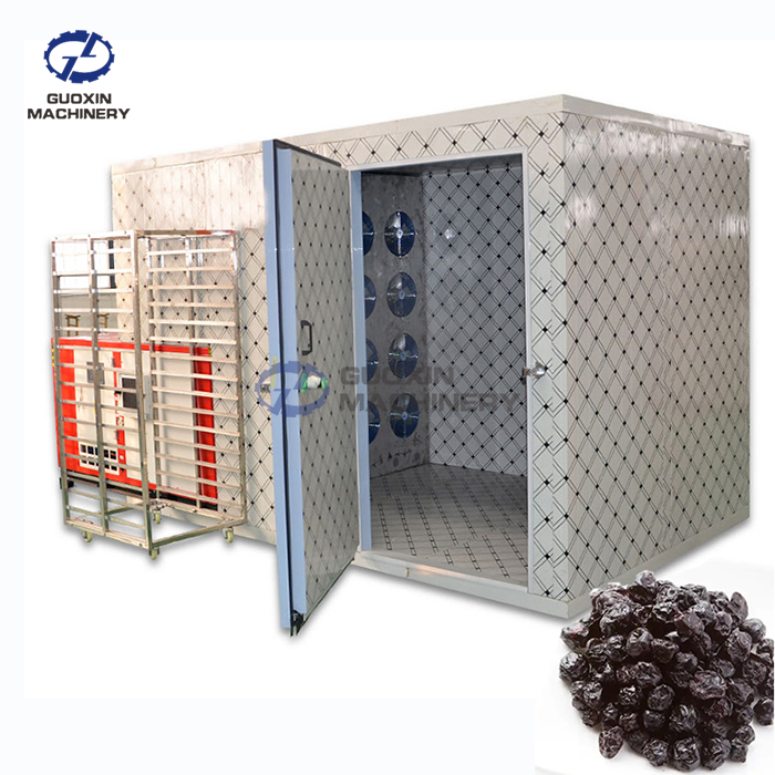 Blueberry Dryer
