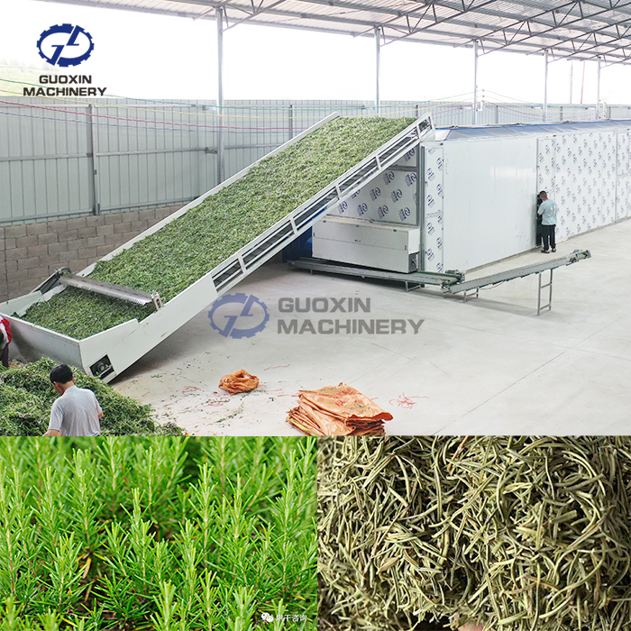 Rosemary Drying Machine