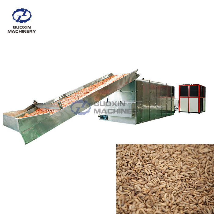 Black Soldier Fly Dryer