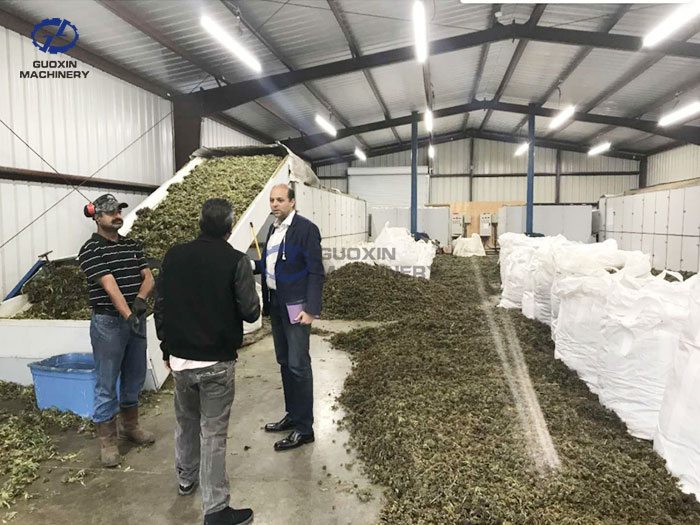 Hemp dryer project in the United States