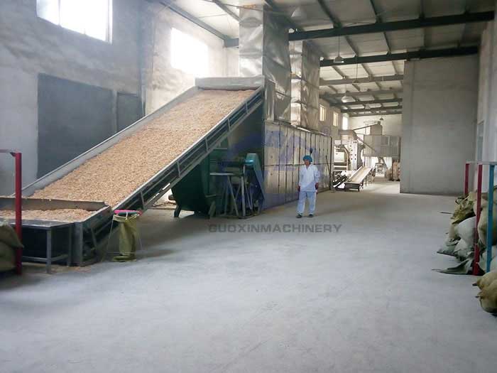 Ginger Processing & Drying Solution for Industrial Production