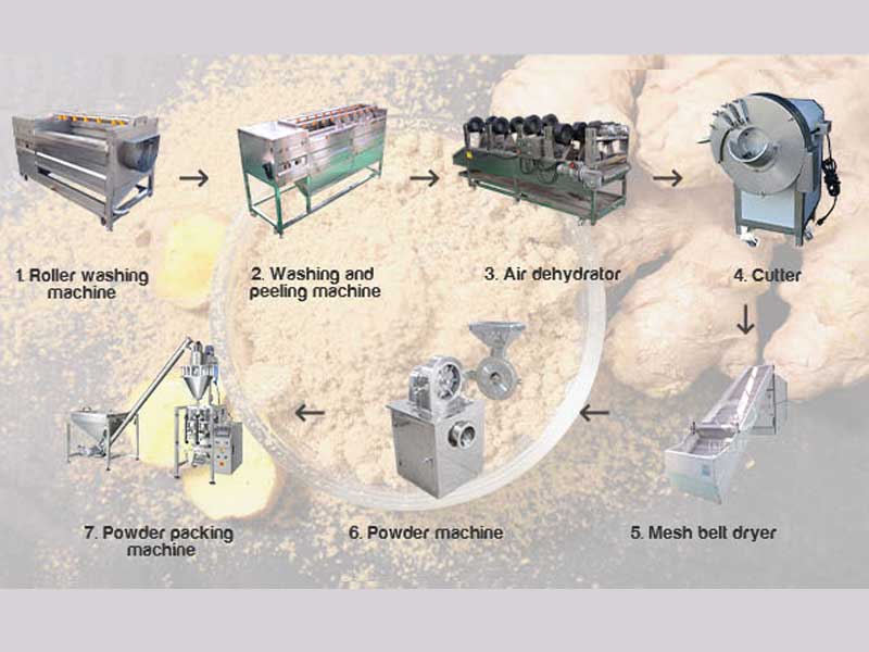 Industrial Ginger Processing Line