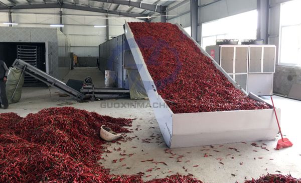 Chili Drying & Processing Solution