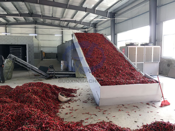 Chili Drying & Processing Solution for Industrial Production
