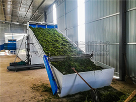 Medicinal Herbs Drying