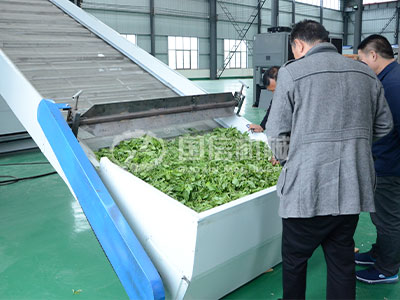 How to Choose a Medicinal Herbs Drying Machine