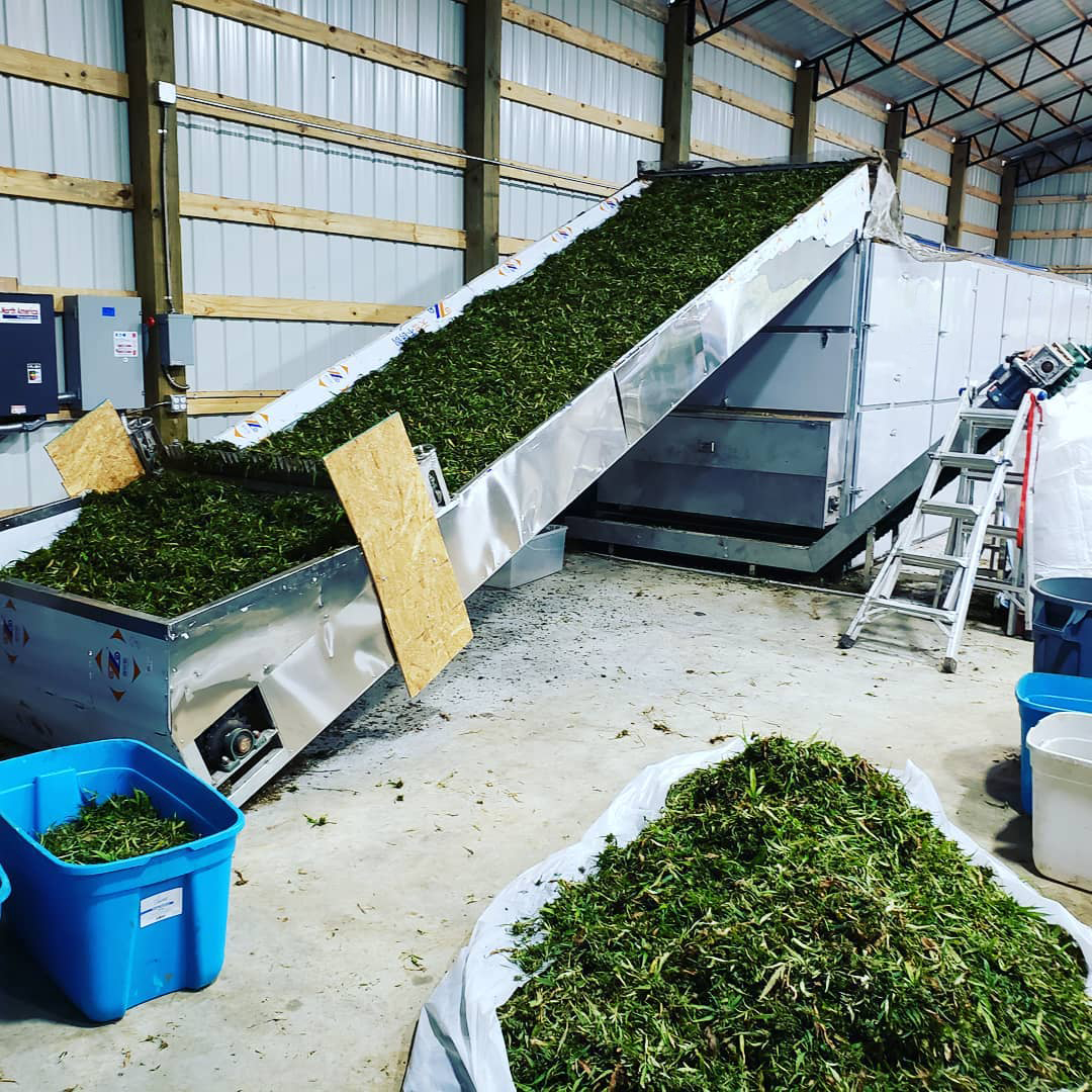 Medicinal Herbs dryiing line