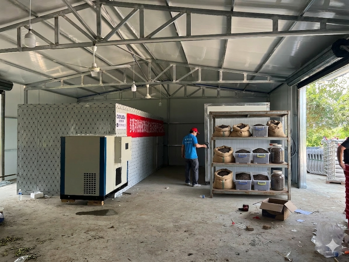 Vietnam Black Pepper Drying Site