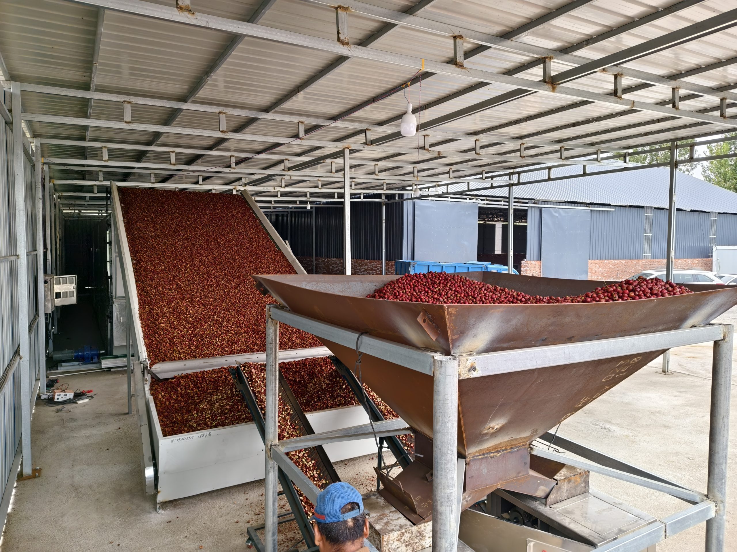 30-Ton Per Day Continuous Hawthorn Dehydration Line – Qinhuangdao, China