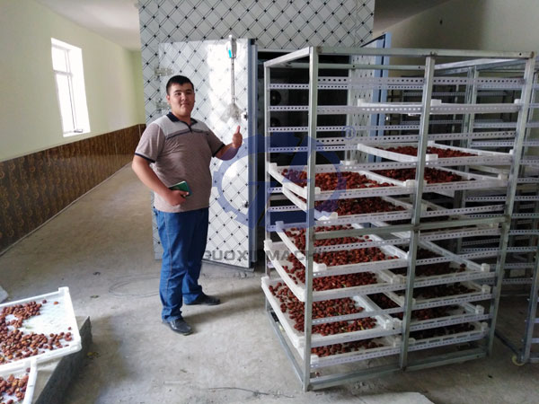 5TPD Integrated Apricot Processing & Intelligent Heat Pump Drying – Uzbekistan