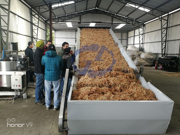 12TPD Continuous Sphagnum Moss Dehydration Line – Southern Chile