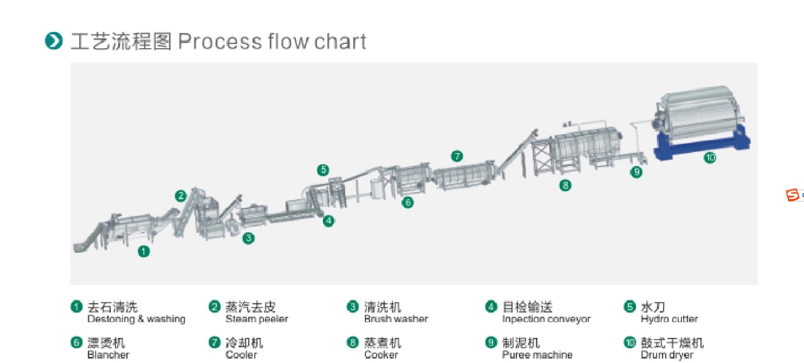 vegetables Process Flowchart