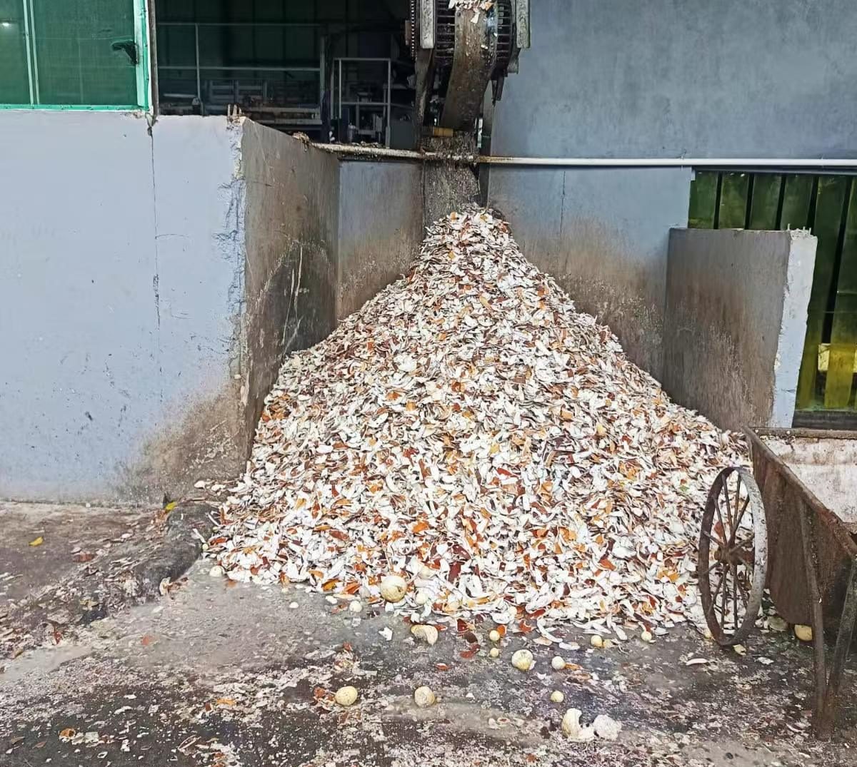 20-Ton Per Day Continuous Coconut Meat Drying & Shredding Line – Indonesia