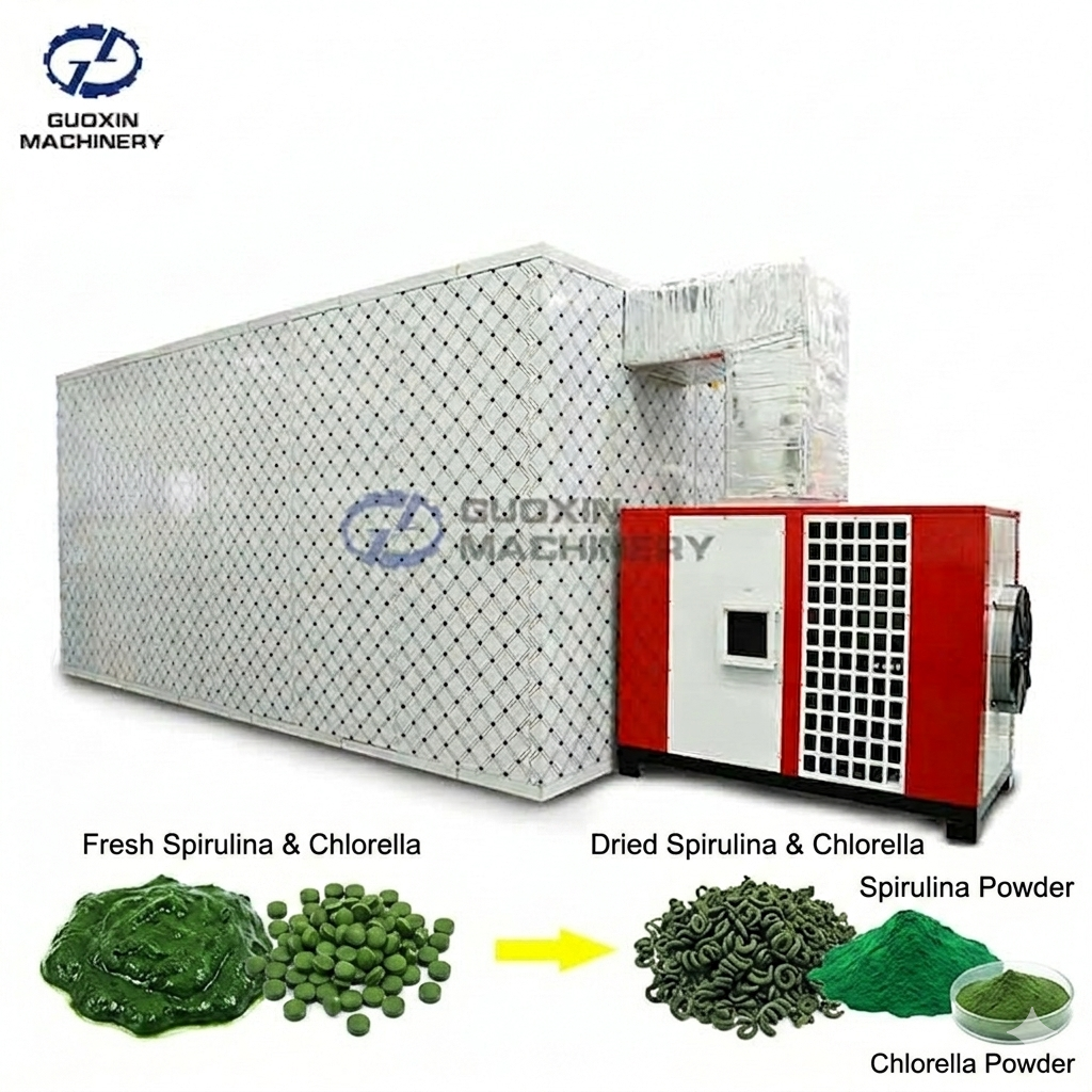 Spirulina and Chlorella Drying – Process Parameters That Protect Key Bioactive Compounds