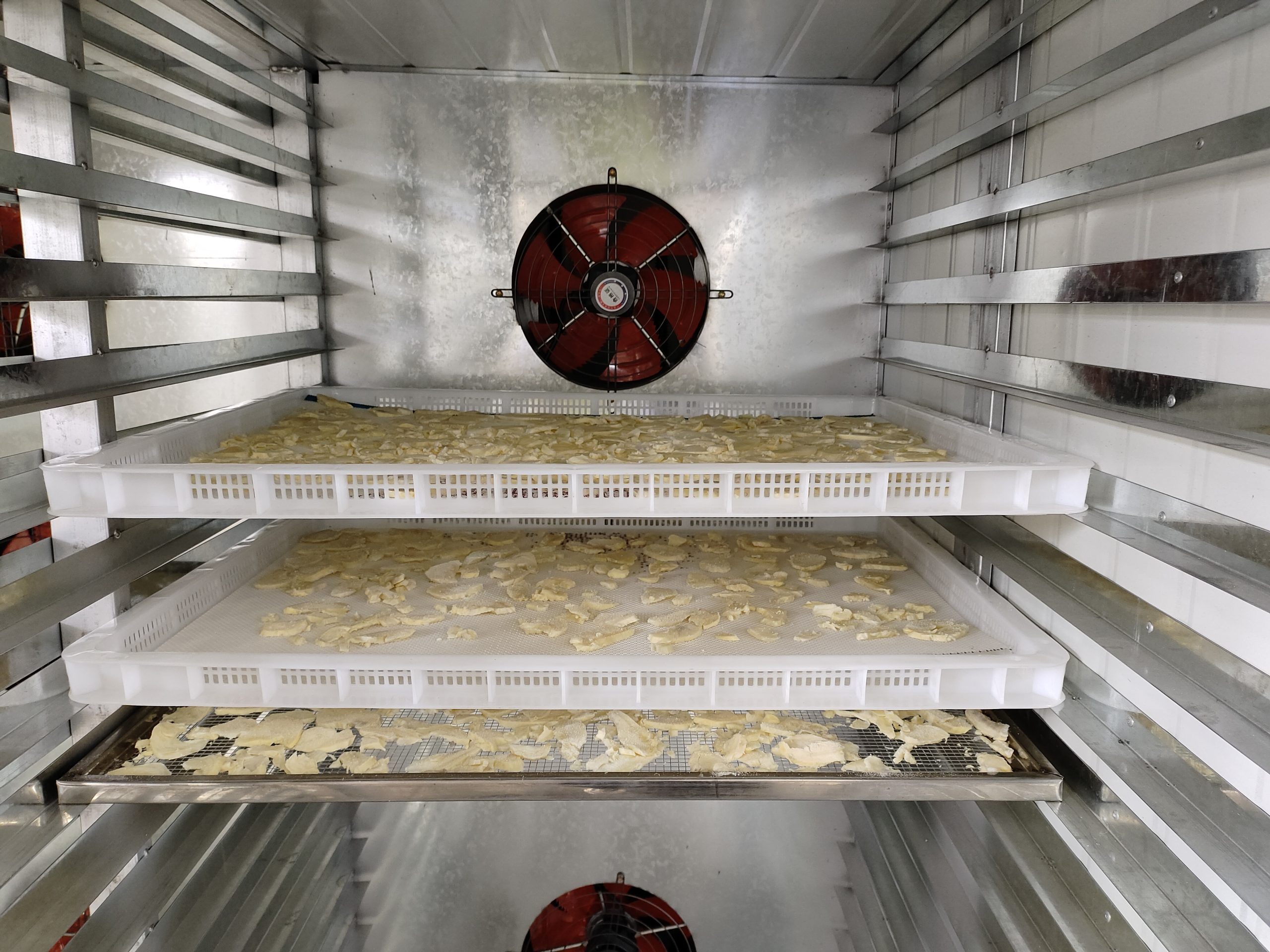 Commercial Durian Dehydration: Preserving Quality with Heat Pump Technology