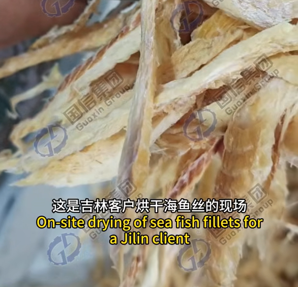 Industrial Case Study: High-Capacity Sea Fish Shreds Drying in a Continuous System