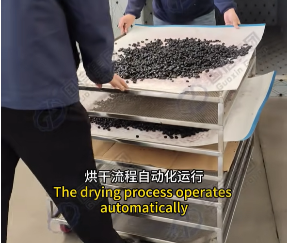 Industrial Case Study: Dehydration of Sugar-Soaked Blueberry Glacé