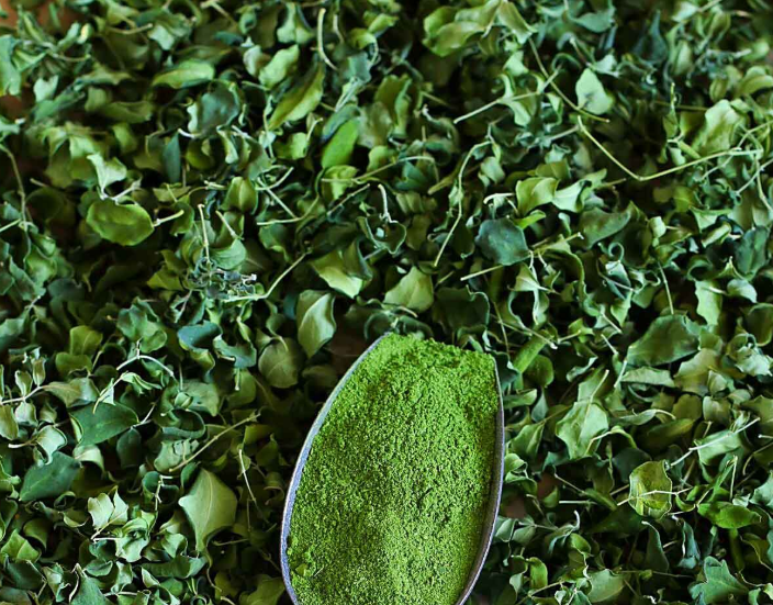 Moringa Leaf