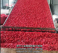 Case Study: Integrated Industrial Chili Pepper Washing, Slicing, and Drying Line