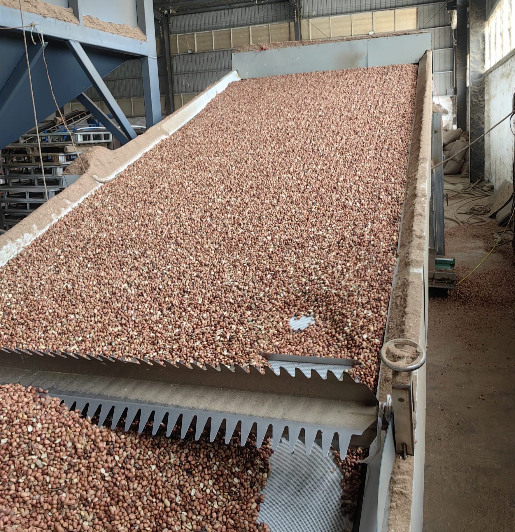 Peanut Drying