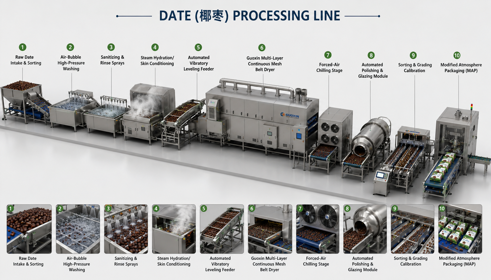 Date Fruits Mesh Belt Drying Line