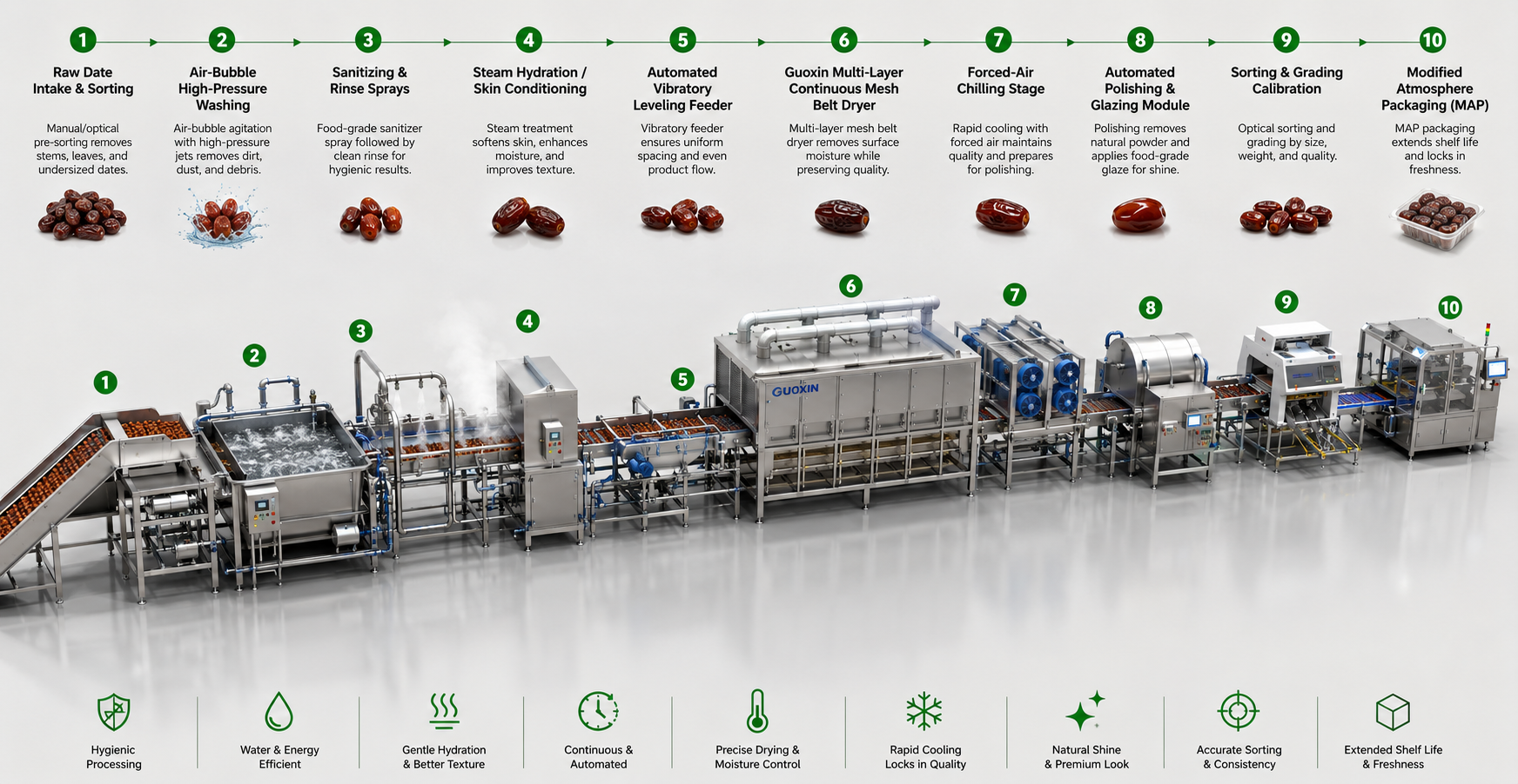 Date Fruits Mesh Belt Drying Line