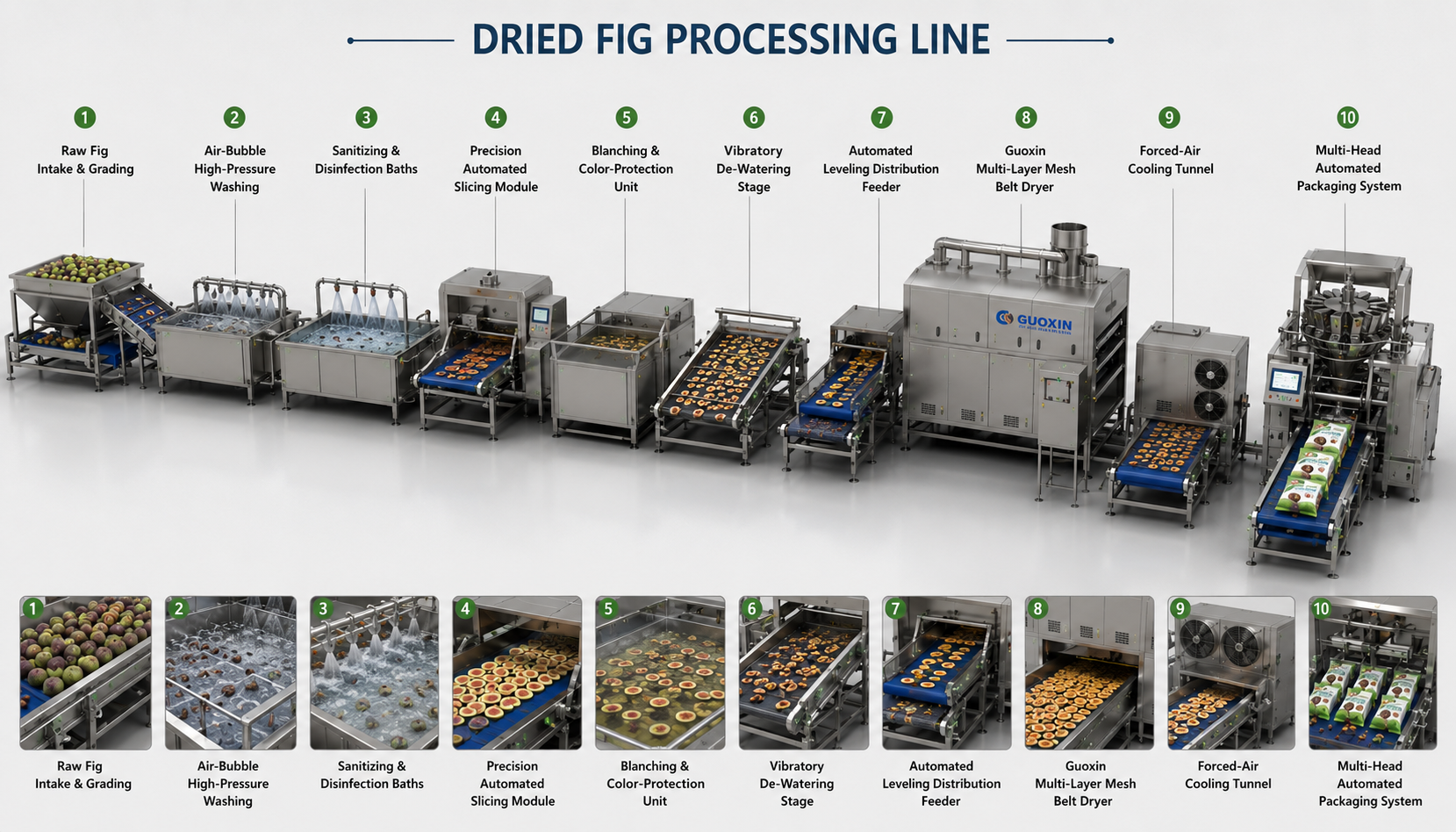 High-Sugar Whole Fig & Slice Mesh Belt Drying Line
