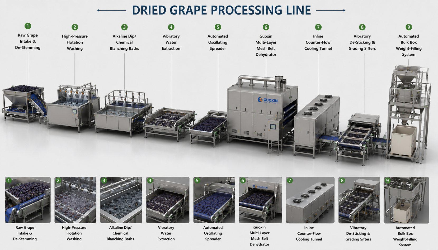 Industrial Raisins & Dried Grapes Continuous Mesh Belt Drying Lines
