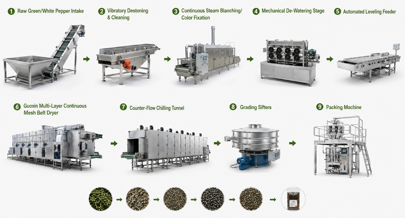 White & Whole Black Pepper Pods Continuous Mesh Belt Drying Processing Lines