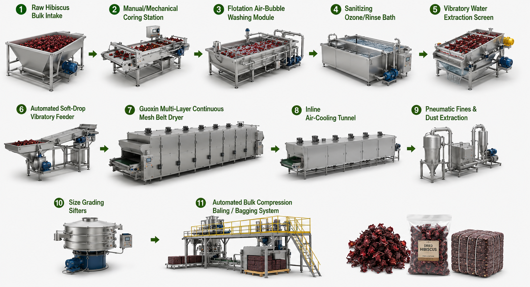 Medicinal Hibiscus Flowers & Calyces Continuous Mesh Belt Drying Processing Lines