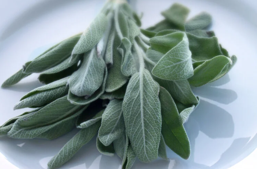 Premium Botanical Herb Leaves Closed-Loop Heat Pump Dehydration Solution: Industrial Color & Aroma Preservation