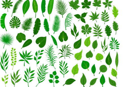 Botanical Herb Leaves Closed-Loop Heat Pump Dehydration Solution