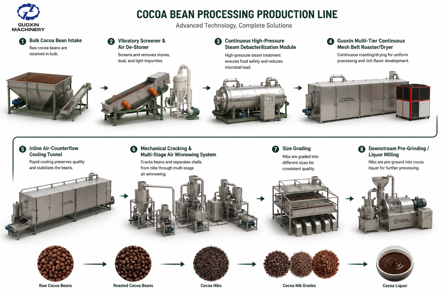Single-Origin Cocoa Beans Continuous Mesh Belt Roasting & Dehydration Lines