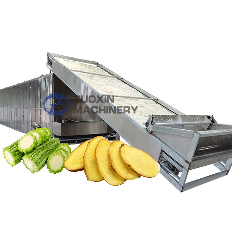 Case Study: Automated Ginger Slicing & Continuous Mesh Belt Dehydration Line in Indonesia