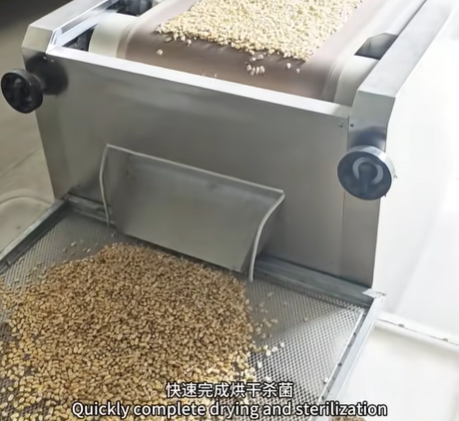 Industrial Continuous Microwave Corn Drying & Sterilization Line