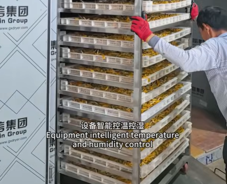 Daylily Heat Pump Drying Room: High-Efficiency Commercial Dehydration Case Study