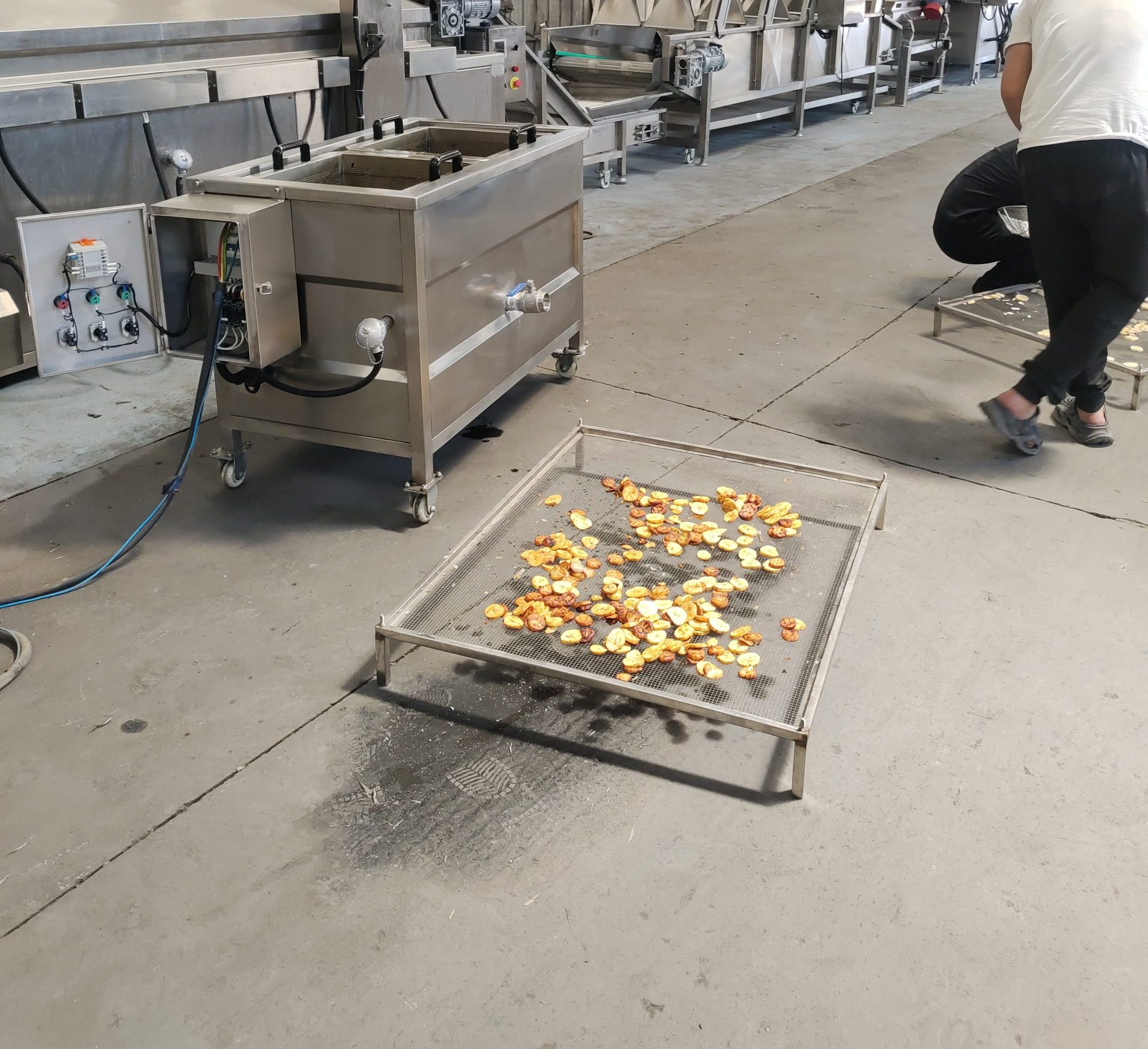 Factory Material Testing: Commercial Continuous Banana Chip Frying Line