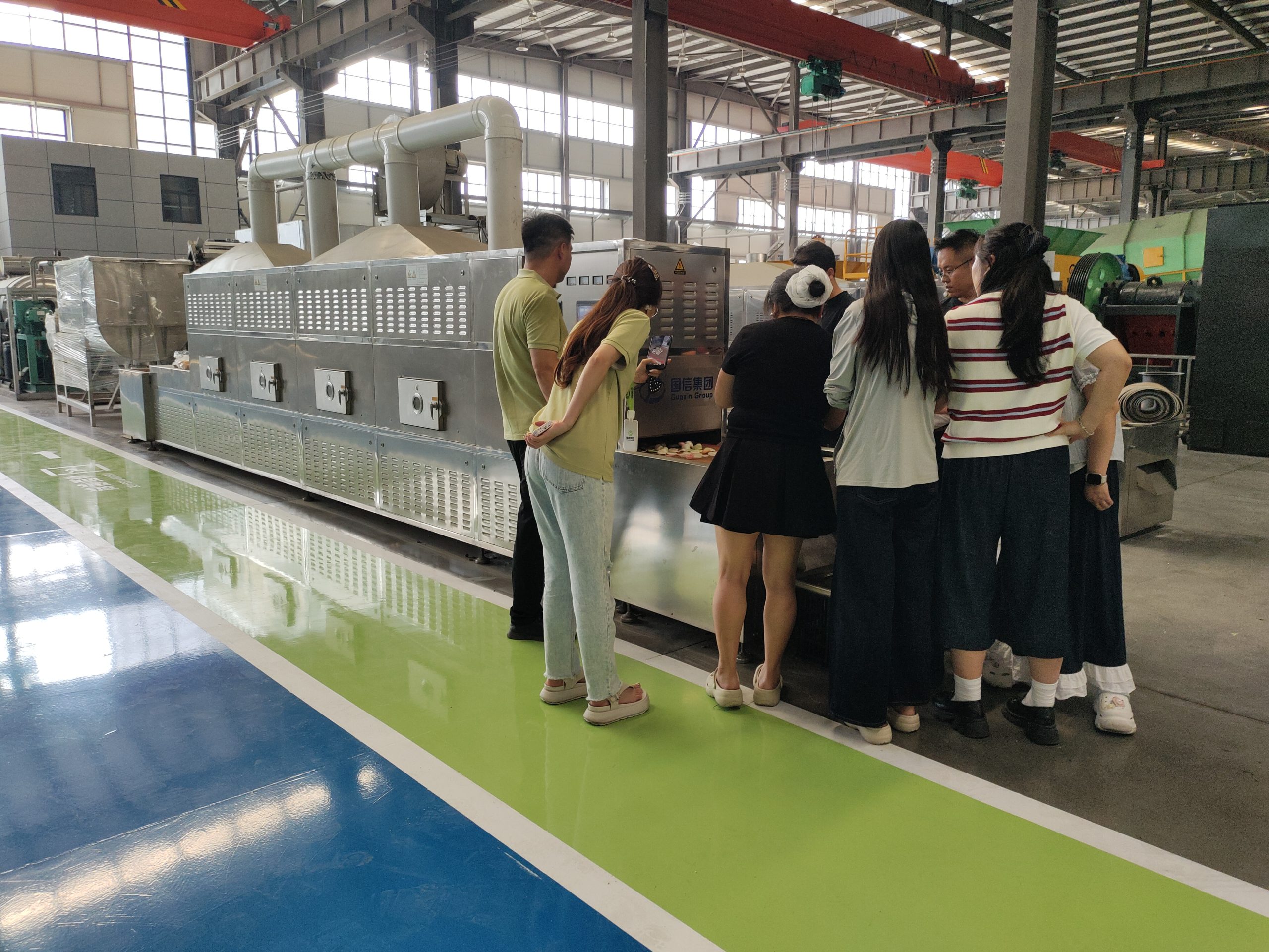 Multi-Functional Industrial Microwave Machine Trial for Seafood, Snack Puffing, and Ready Meals