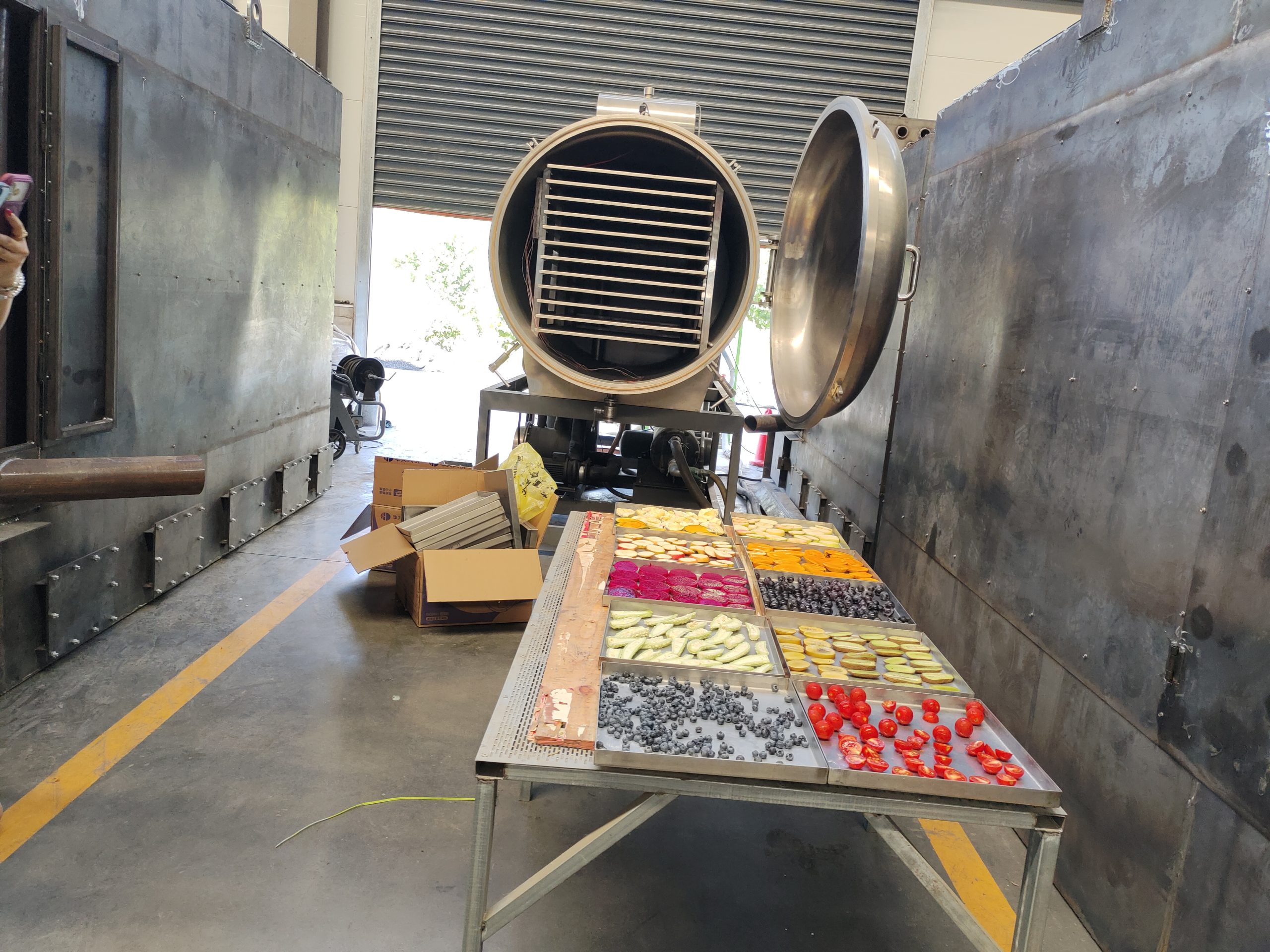 Industrial Vacuum Freeze Dryer Machine: Multi-Fruit Freeze Drying (FD) Workshop Trial