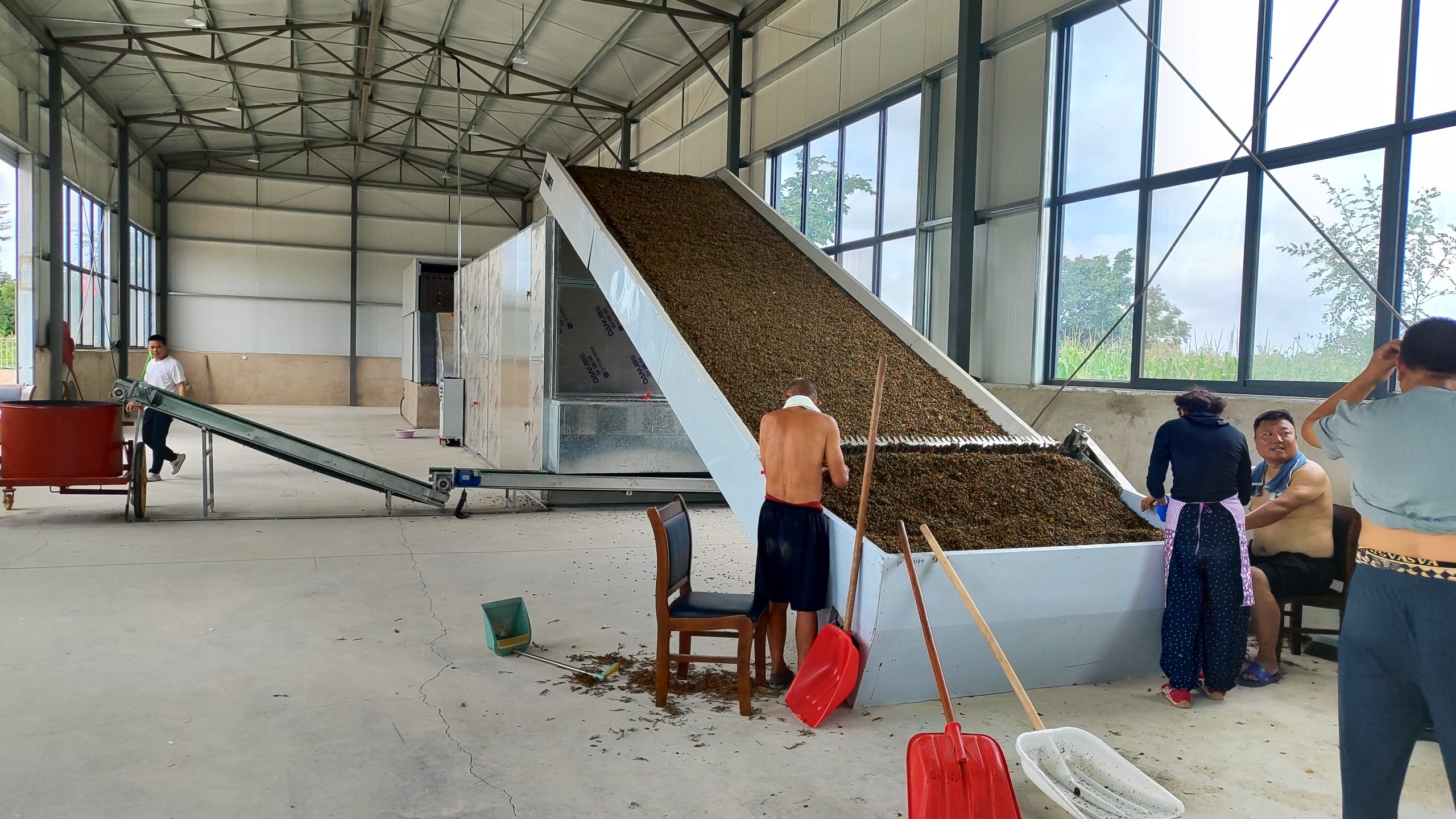 Continuous Mesh Belt Forsythia Dryer Machine: On-Site Case Study (Shanxi Project)