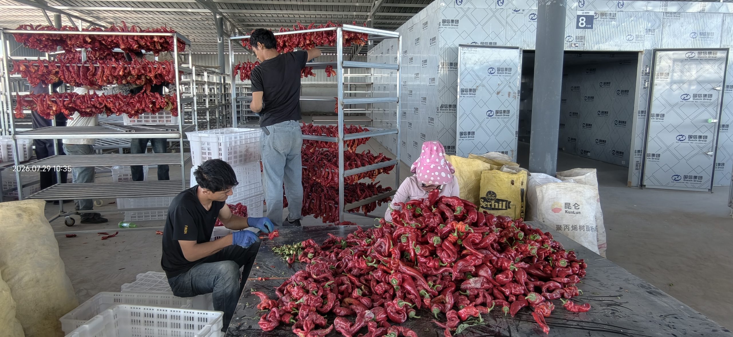 Heat Pump Chili Dryer Room: Xinjiang Red Pepper Processing Case Study