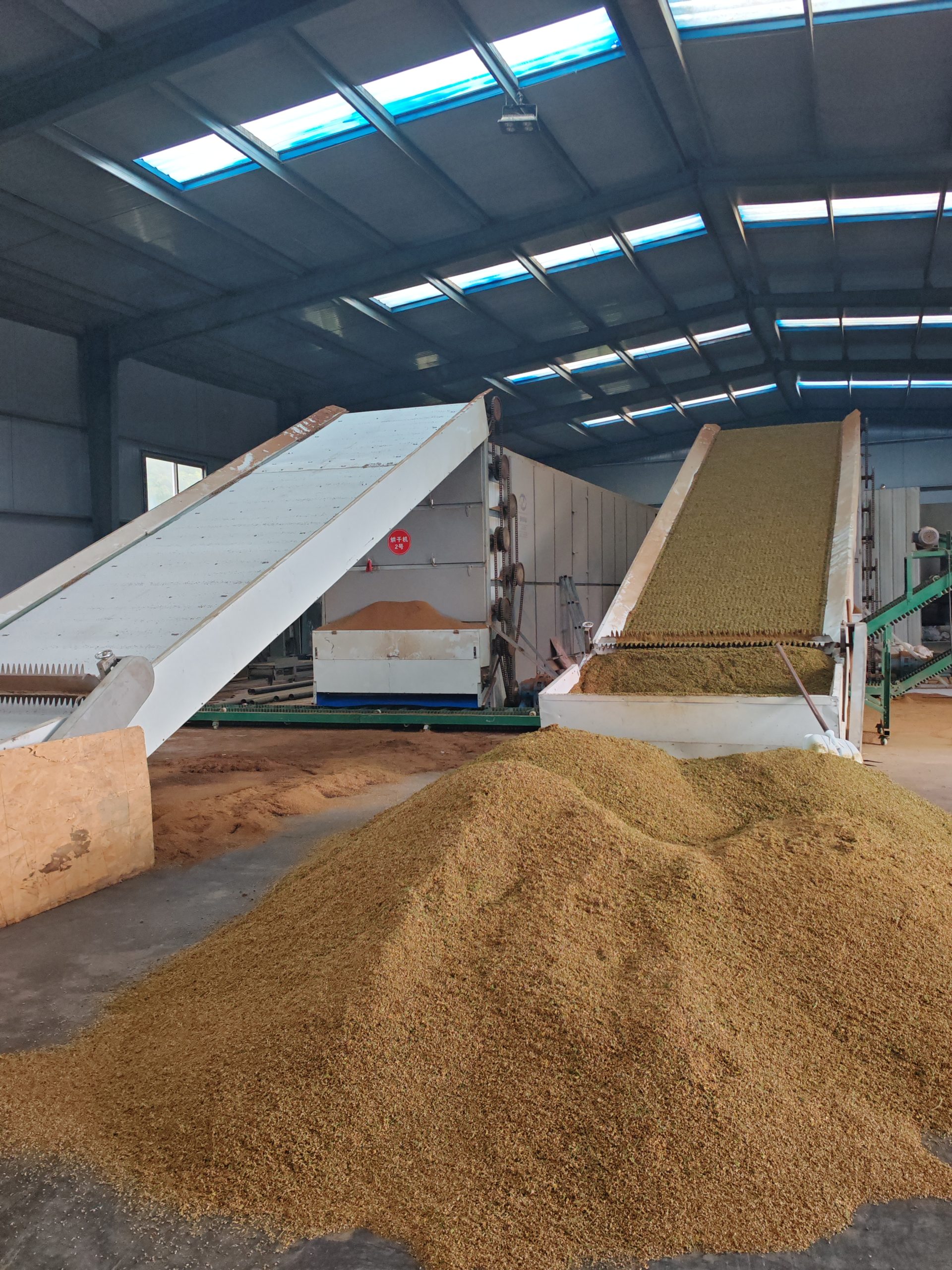 Continuous Mesh Belt Cypress Seed Dryer Machine