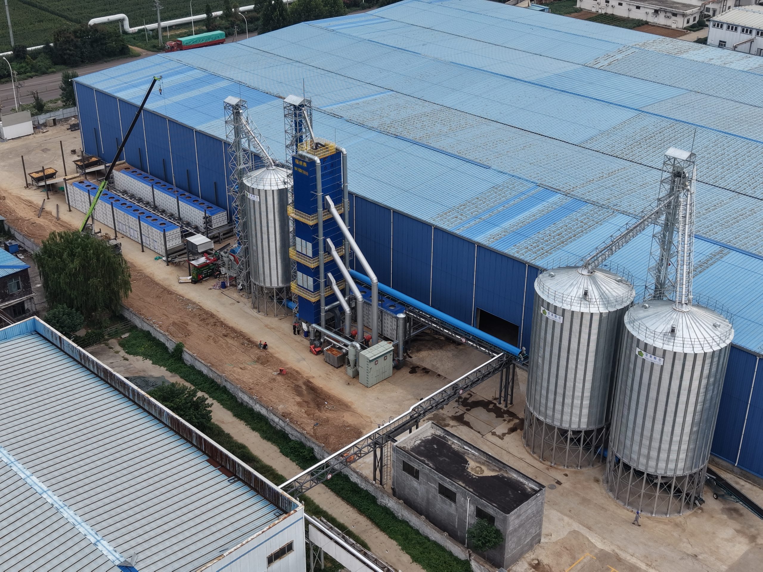 Case Study: High-Capacity Continuous Mesh-Belt Corn Drying Line (Jining, Shandong)