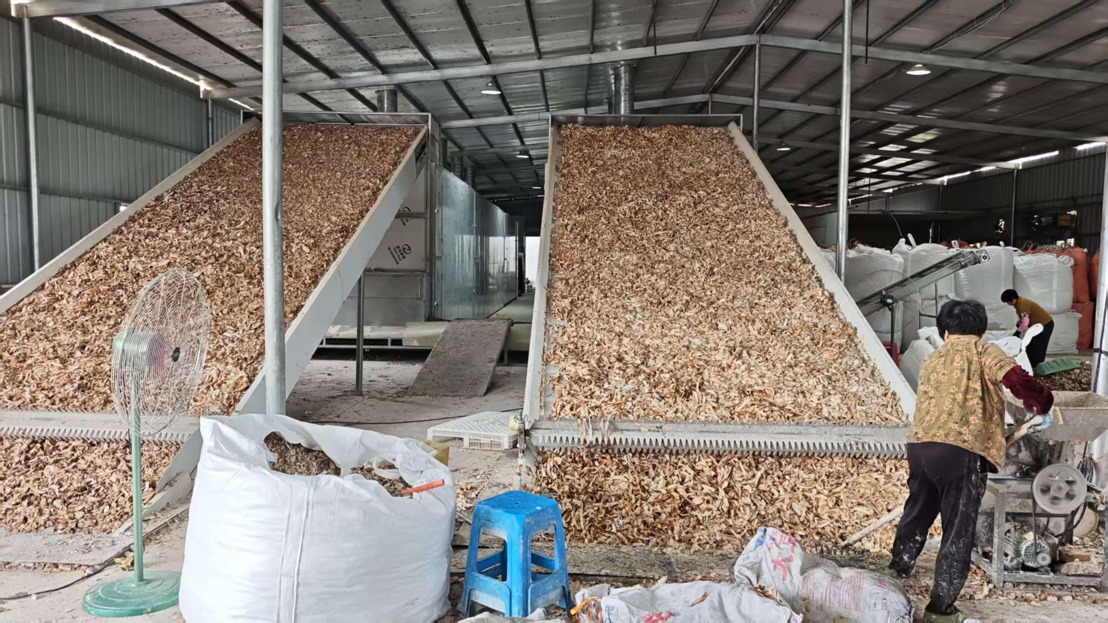 Case Study: Continuous Mesh-Belt Taro Slice Drying Line (Fujian, China)
