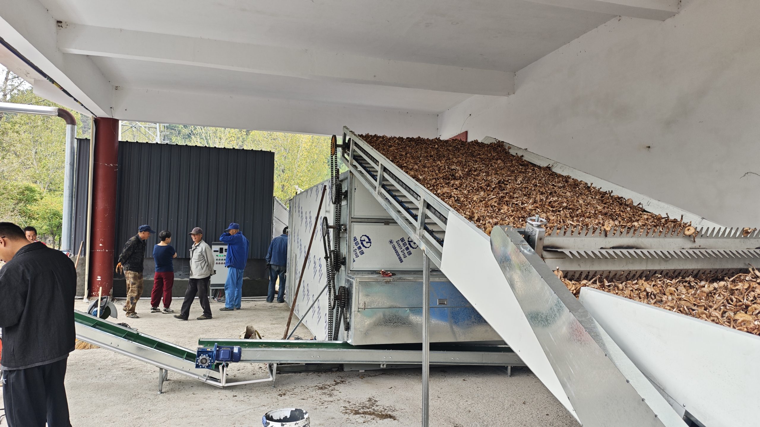 Case Study: Continuous Mesh-Belt Hazel Mushroom Drying Line (Huairou, Beijing)