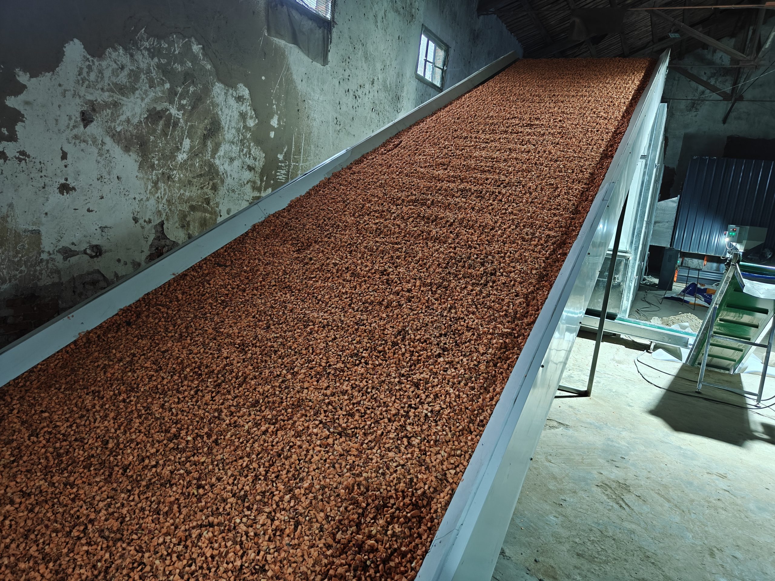 Continuous Mesh-Belt Sweet Potato Dice Drying Line (Zhumadian, Henan)