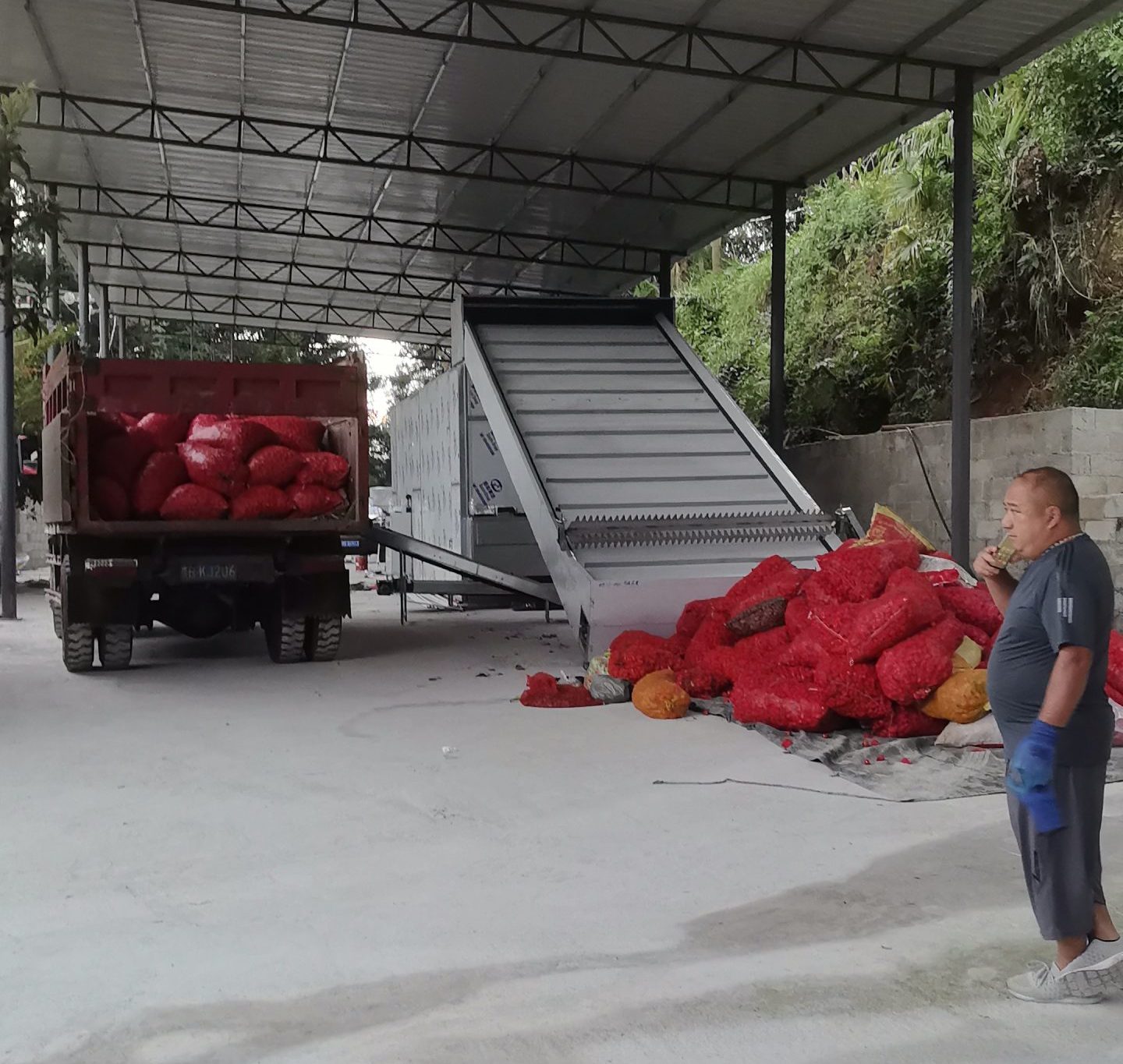 Continuous Mesh-Belt Red Chili Drying Line (Liupanshui, Guizhou)